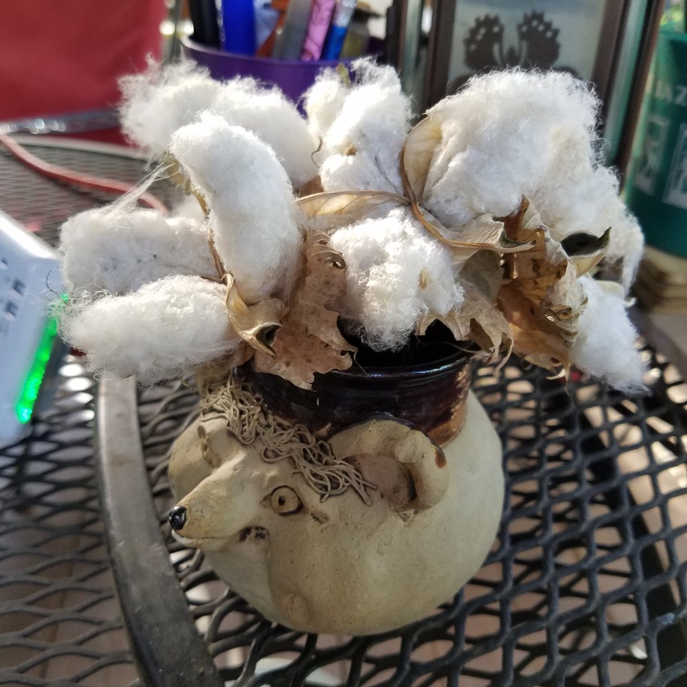 raw cotton