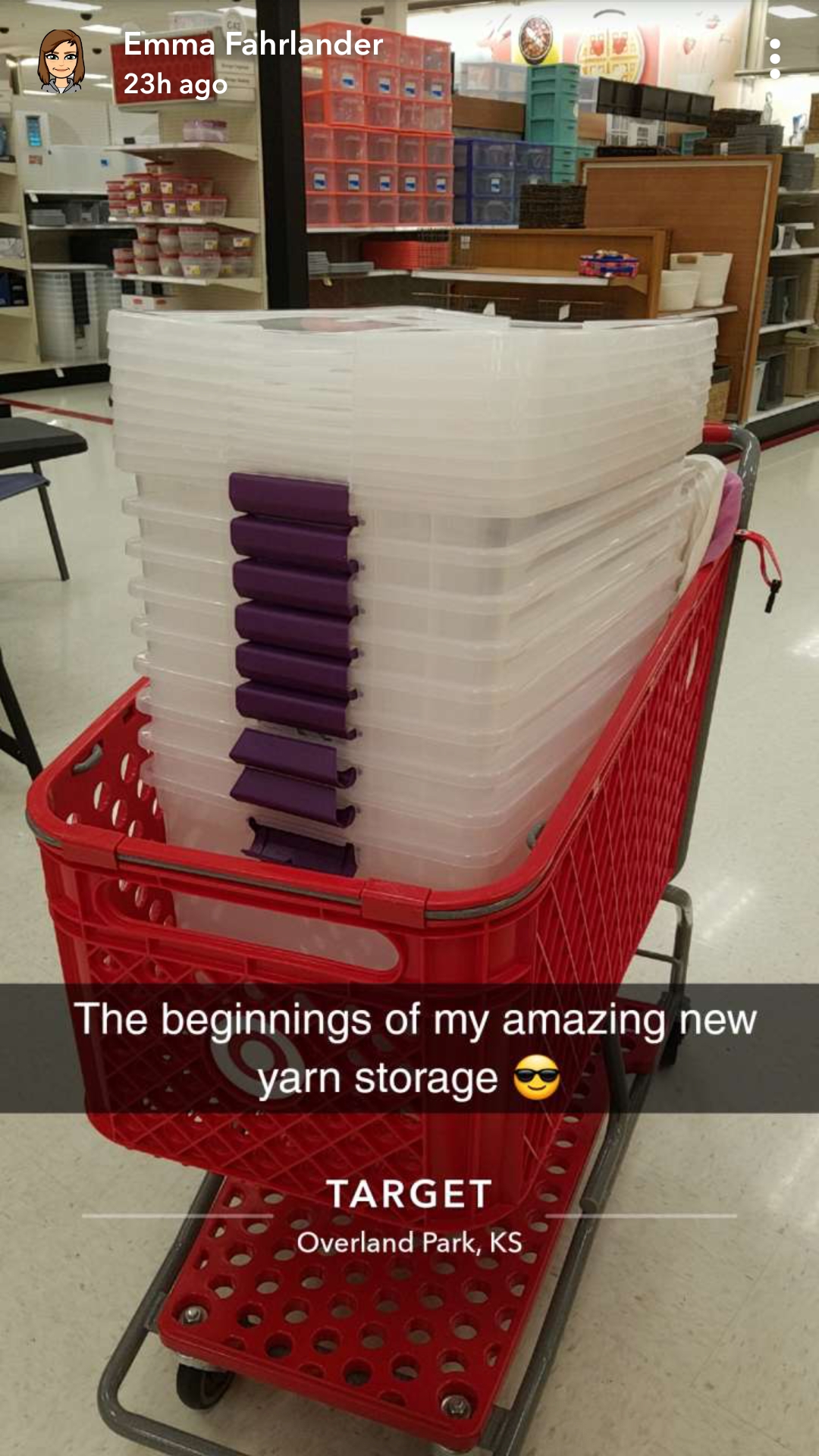 9 Targets storage bins