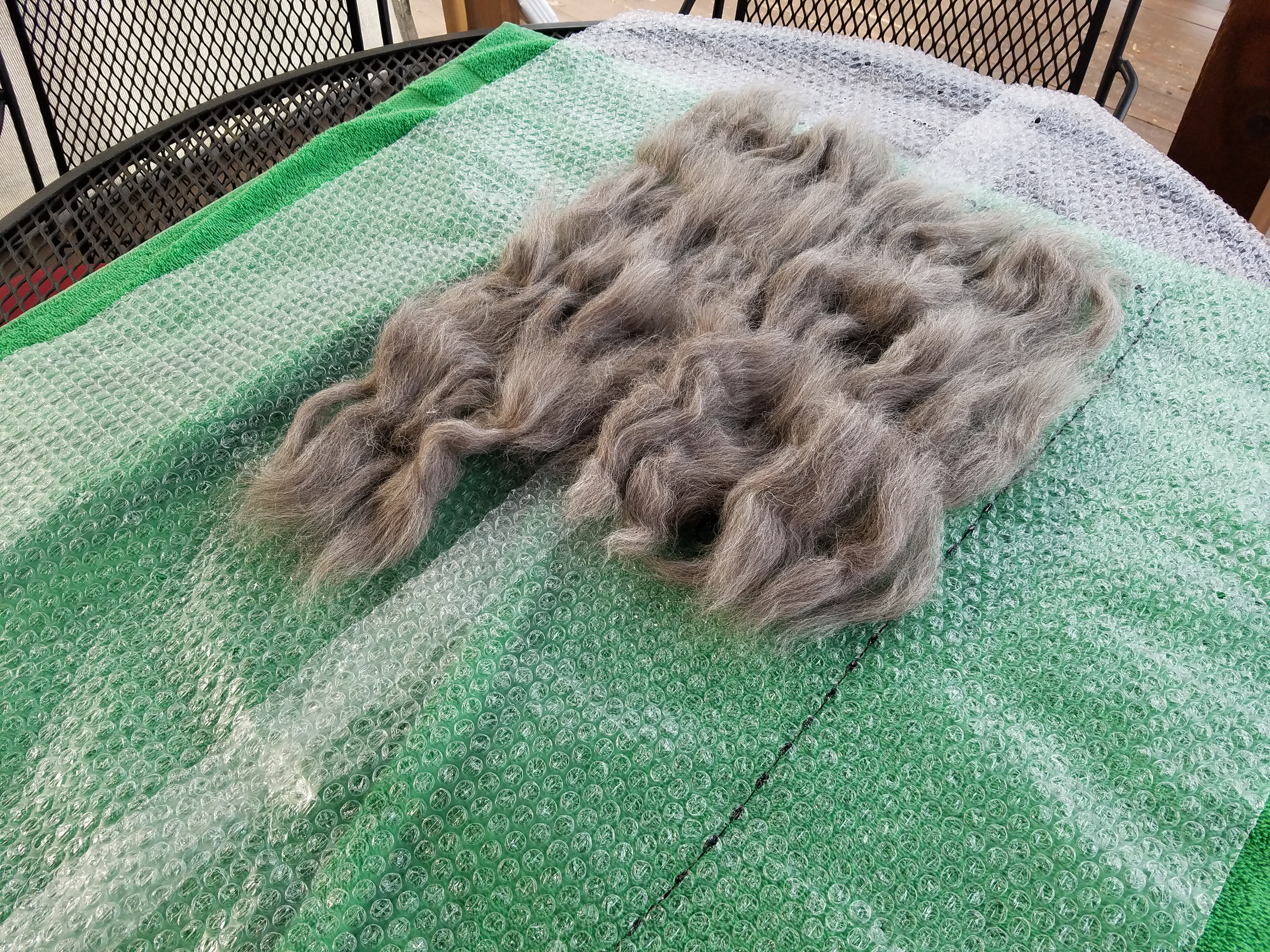 Laying out the tufts of wool