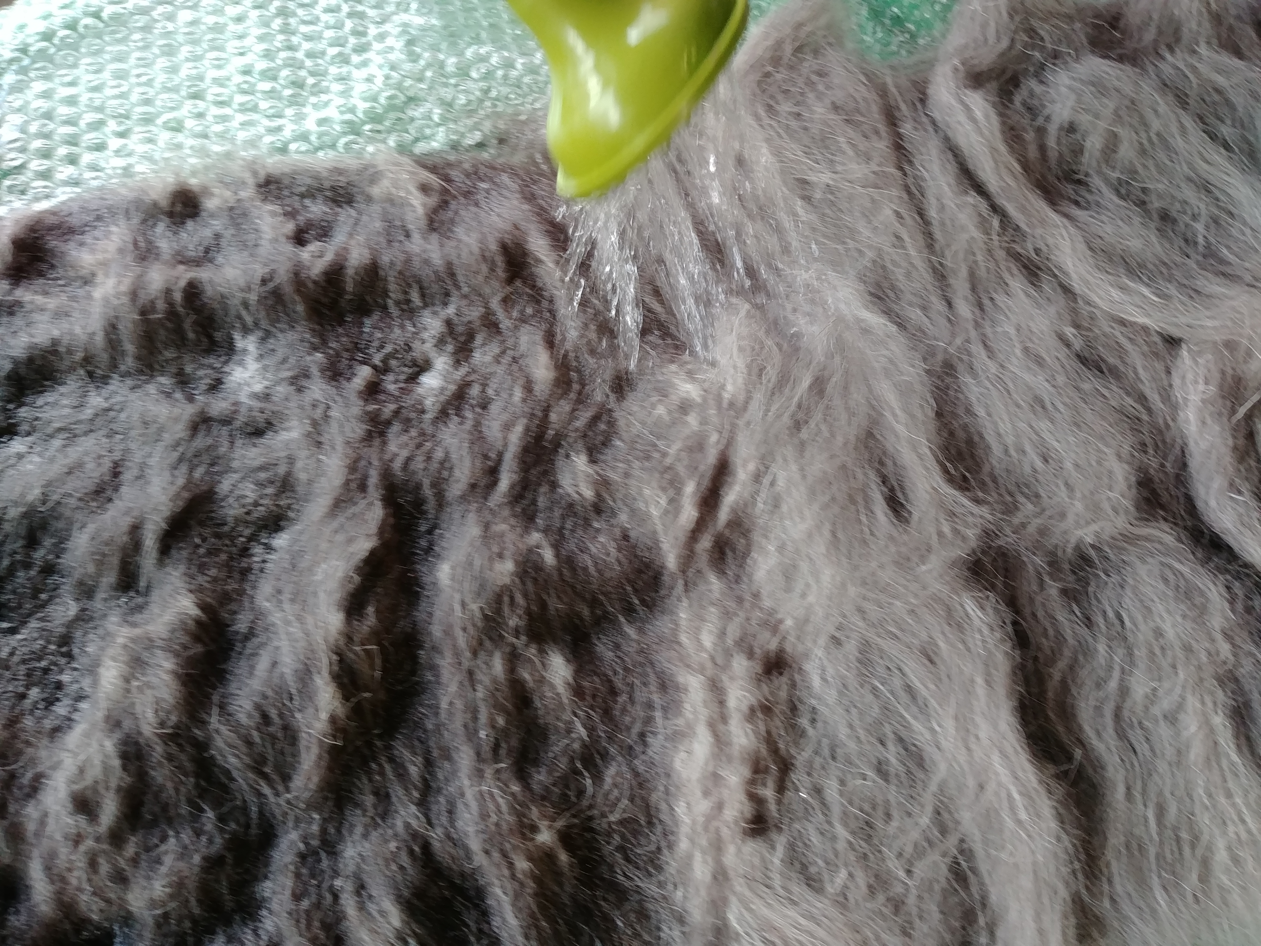 pouring hot water on the wool