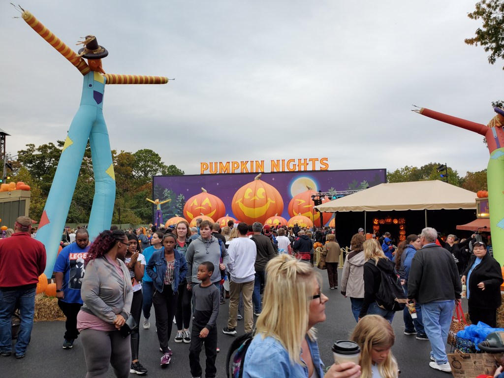 Pumpkin nights party