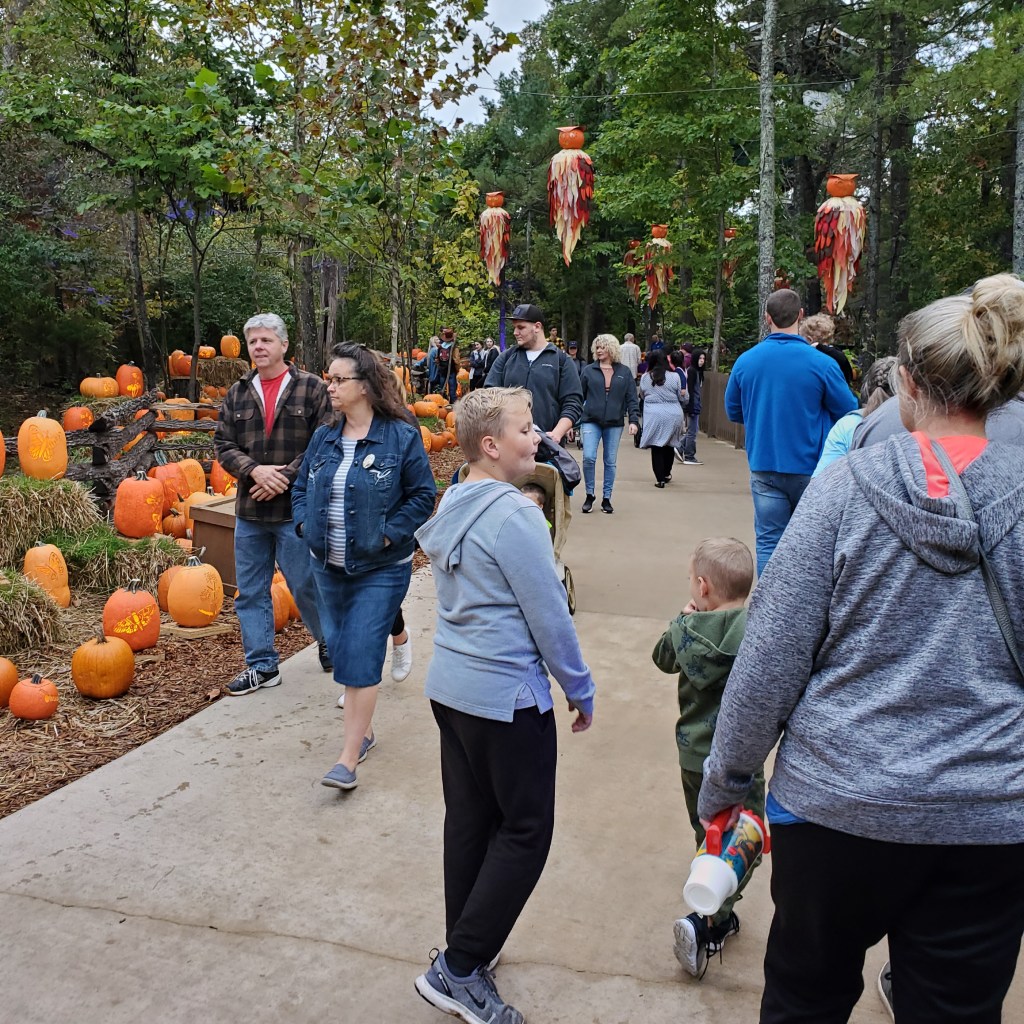 Pumpkin hiking trail