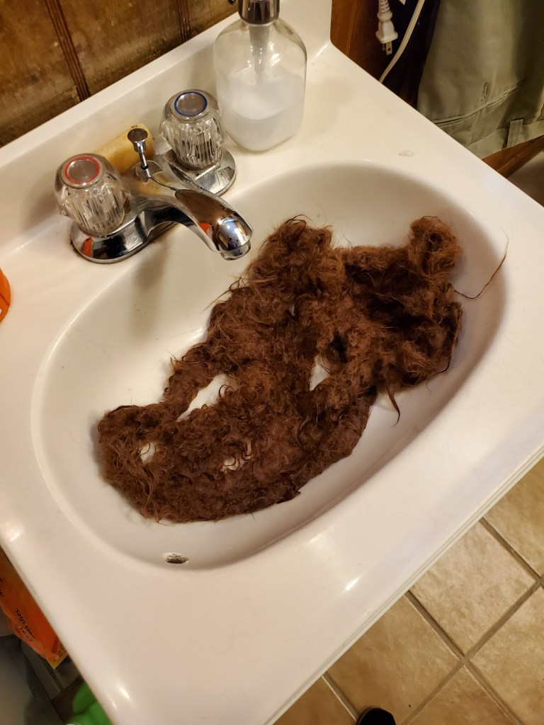 destroyed felted slipper in sink
