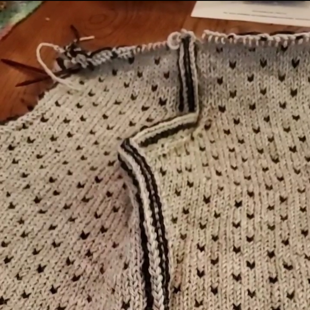 Barrey Hiking Vest steek