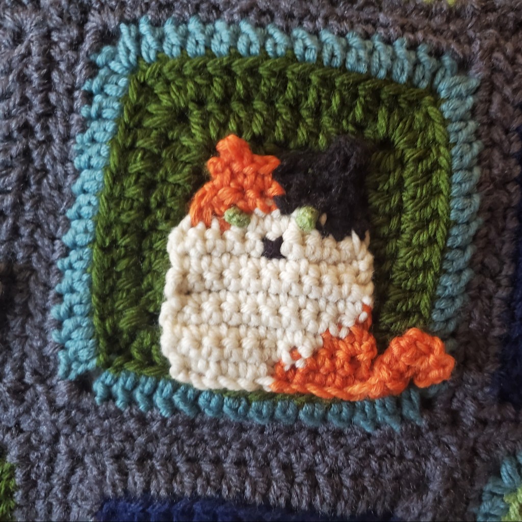 One cat square, with a calico cat