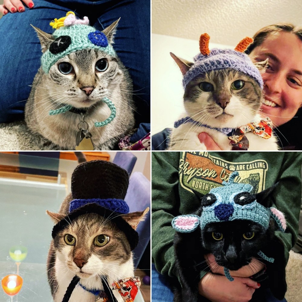 Four cats in different cat hats